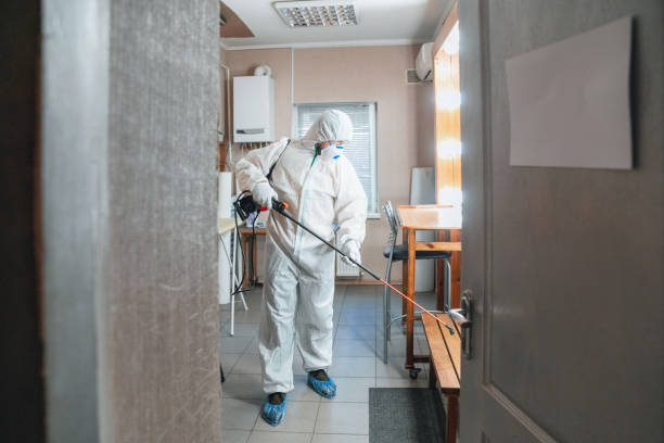 Best Mold Prevention Services  in Desoto Lakes, FL