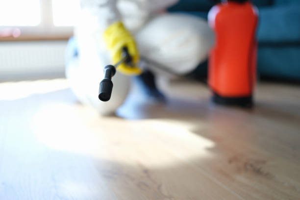 Best Residential Mold Inspection & Testing  in Desoto Lakes, FL