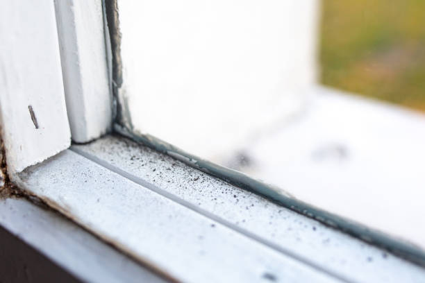 Best Post-Construction Mold Inspection  in Desoto Lakes, FL