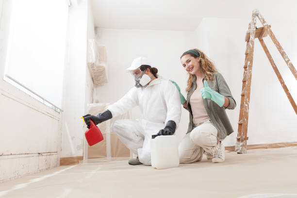 Best Attic Mold Removal  in Desoto Lakes, FL