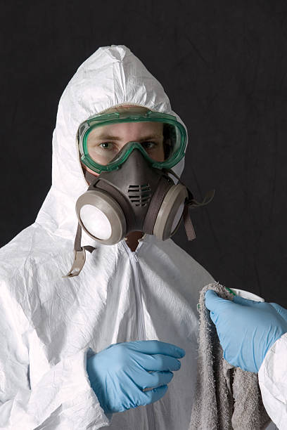 Trusted Desoto Lakes, FL Mold Removal Experts