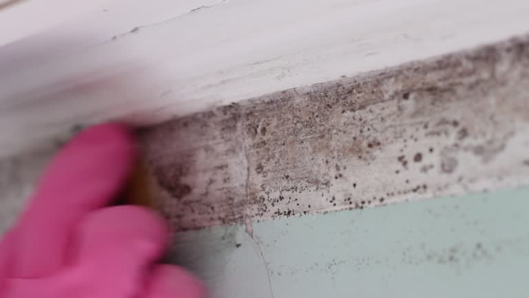 Best Indoor Air Quality Assessment  in Desoto Lakes, FL